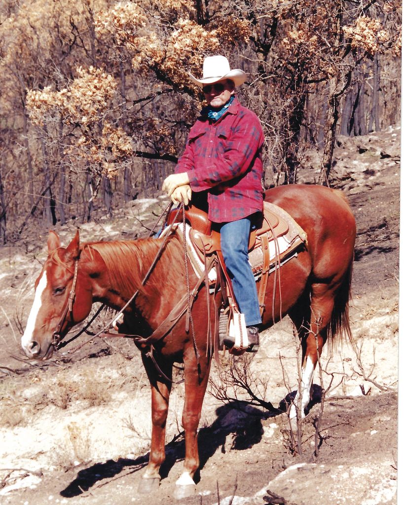 Jay C.M. Higgs
