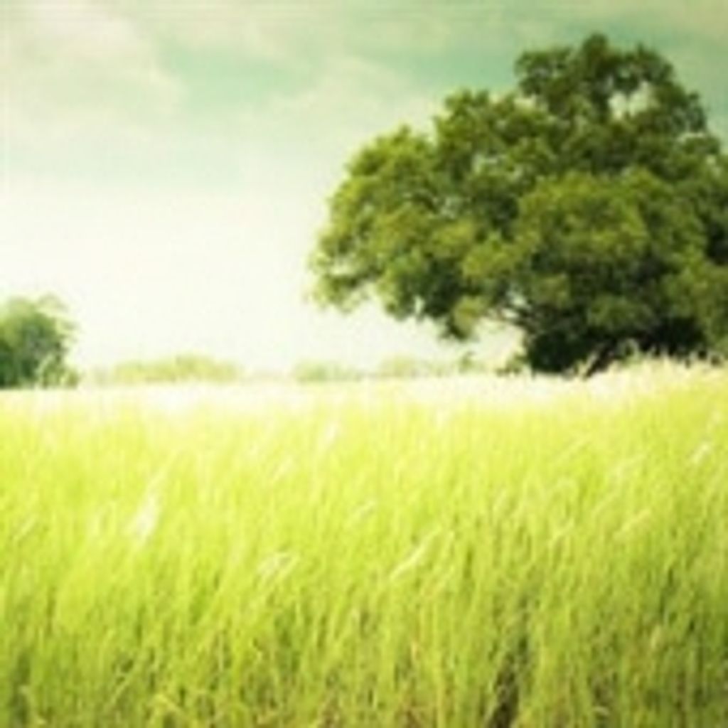 Louis Ralph Tommasini