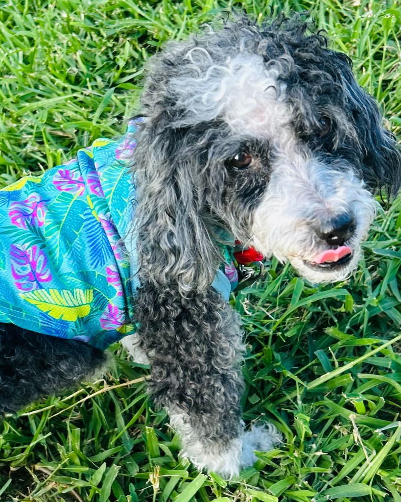 Cookie 🖤 Profile Photo