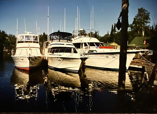 Peter Emil Carmody photo gallery thumbnail 97 of 121