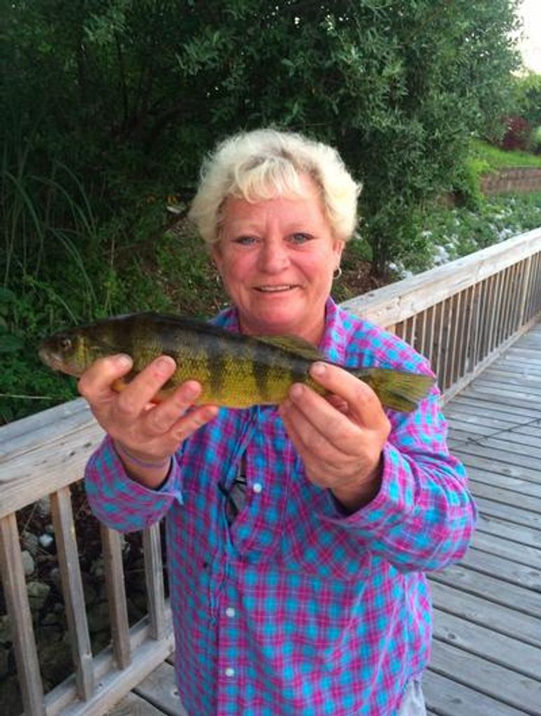 Allisa "Lisa" Ann (Pope) Duda