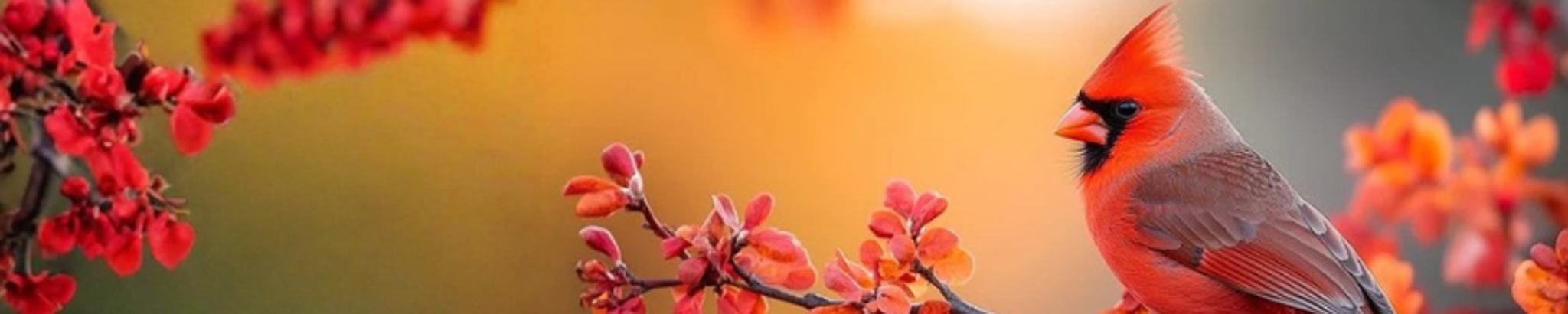 Cover for Diana Lee Wolf's Obituary