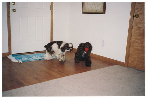 Gary L. Hall photo gallery thumbnail 247 of 354