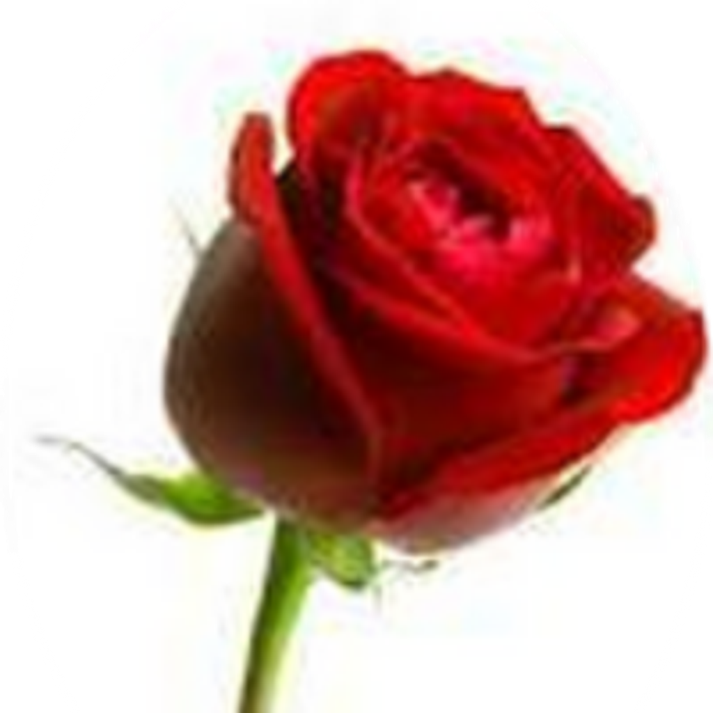 Marjorie M "Marge" Bouyea (Provo)