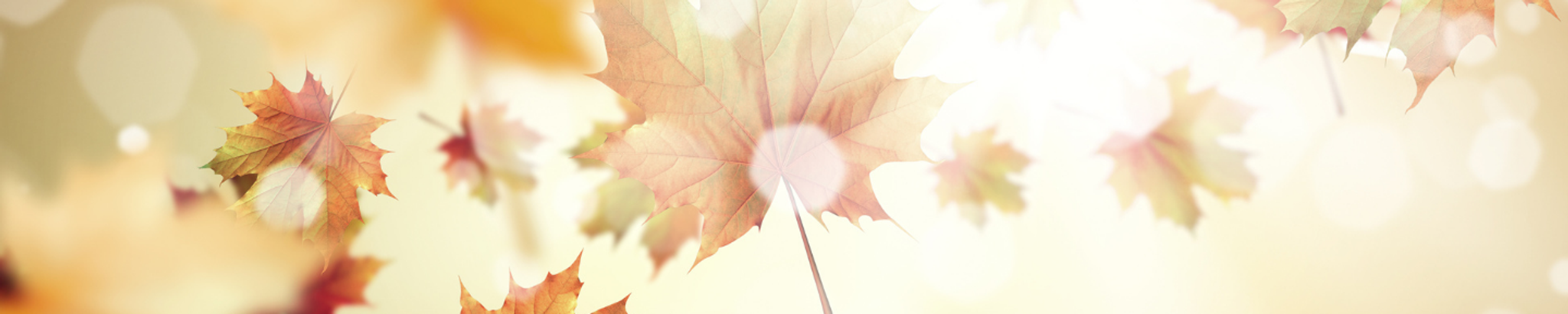 Cover photo for Norma Jo Hassel's Obituary