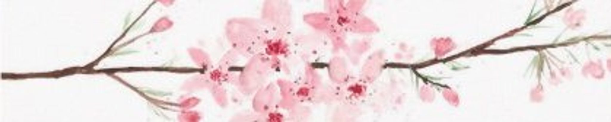 Cover for Judith Rebecca Walker's Obituary