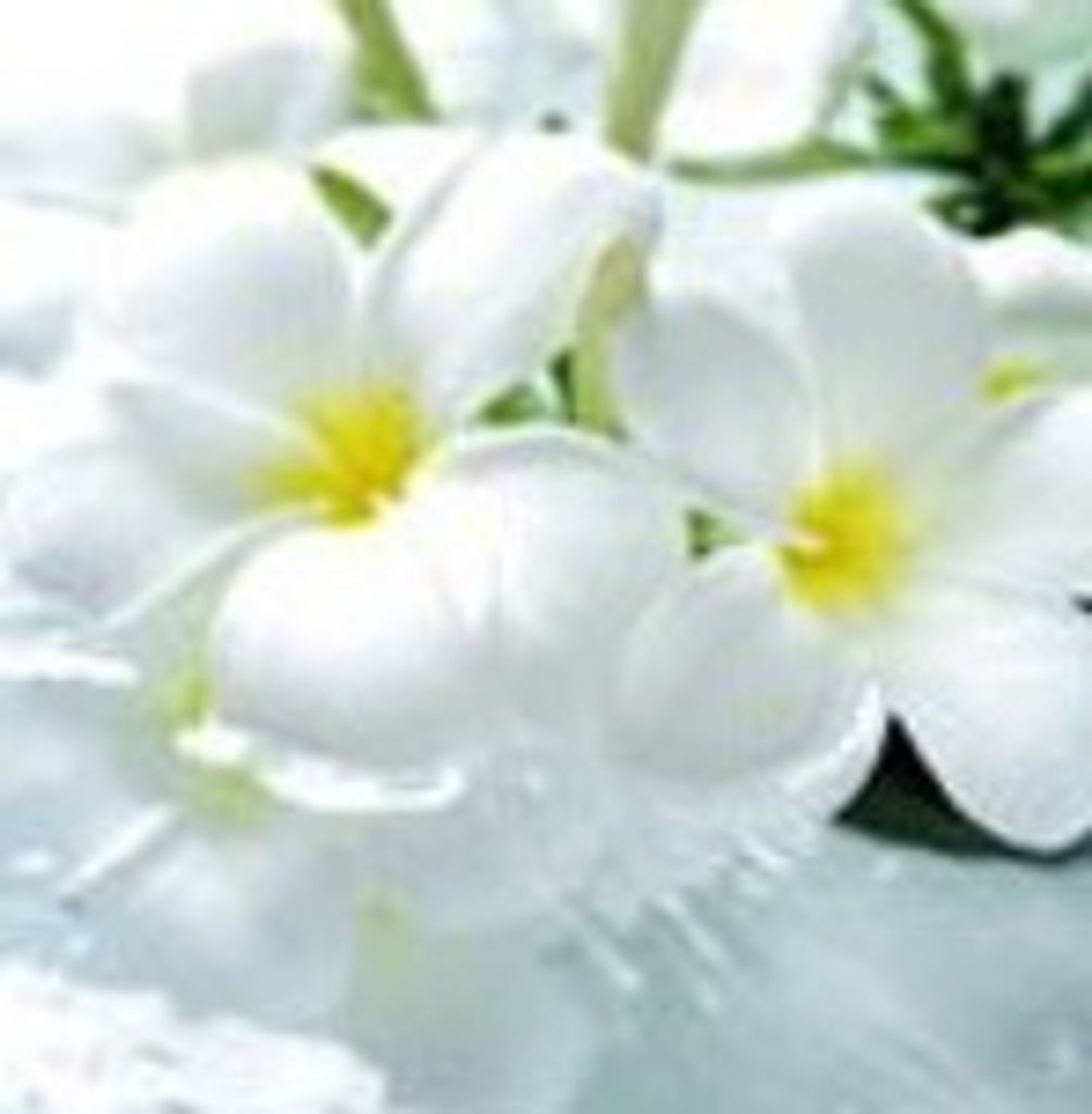 Evelyn E. (Bingham) Baker