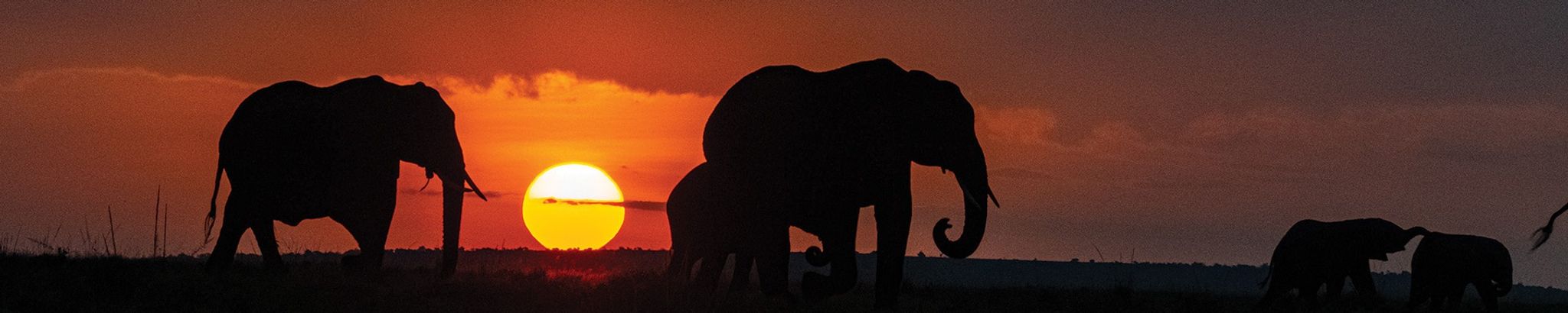 Cover for Christine Delores Lanum's Obituary