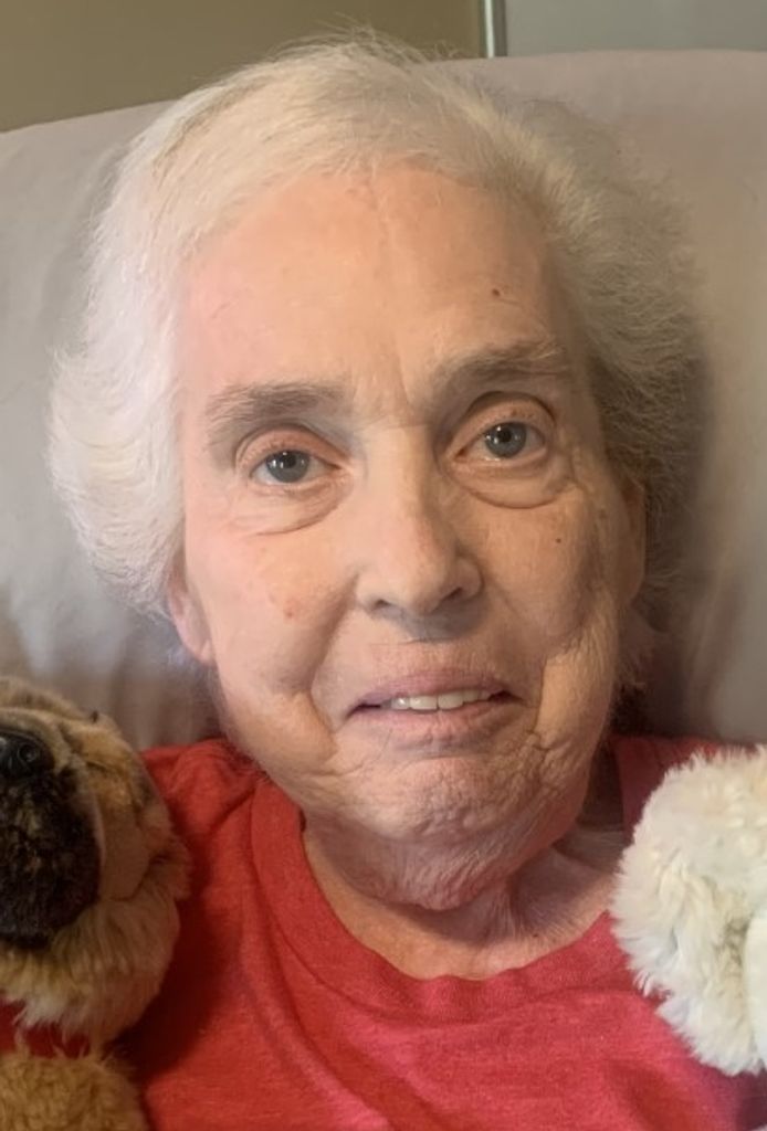 Mary Ann (Broderick)  Laible