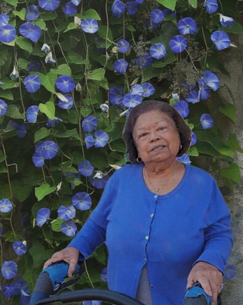 Celia Cardenas Alvarado