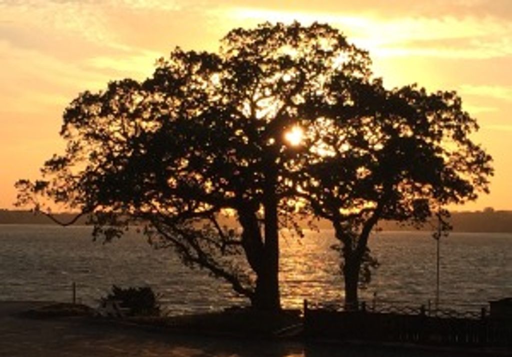 Kathleen P. (Cunningham)  Kaplan Profile Photo