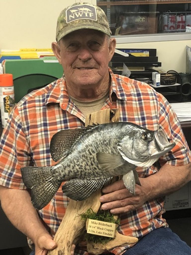 Mike Bilderback Profile Photo