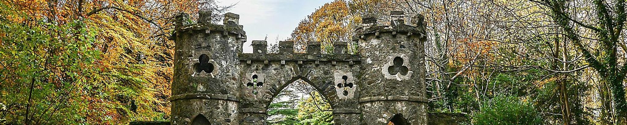 Cover for Reverend Rosemary Doran's Obituary