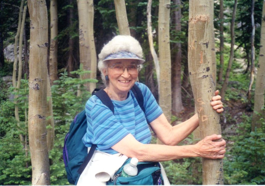 Dorothy Ann Wood