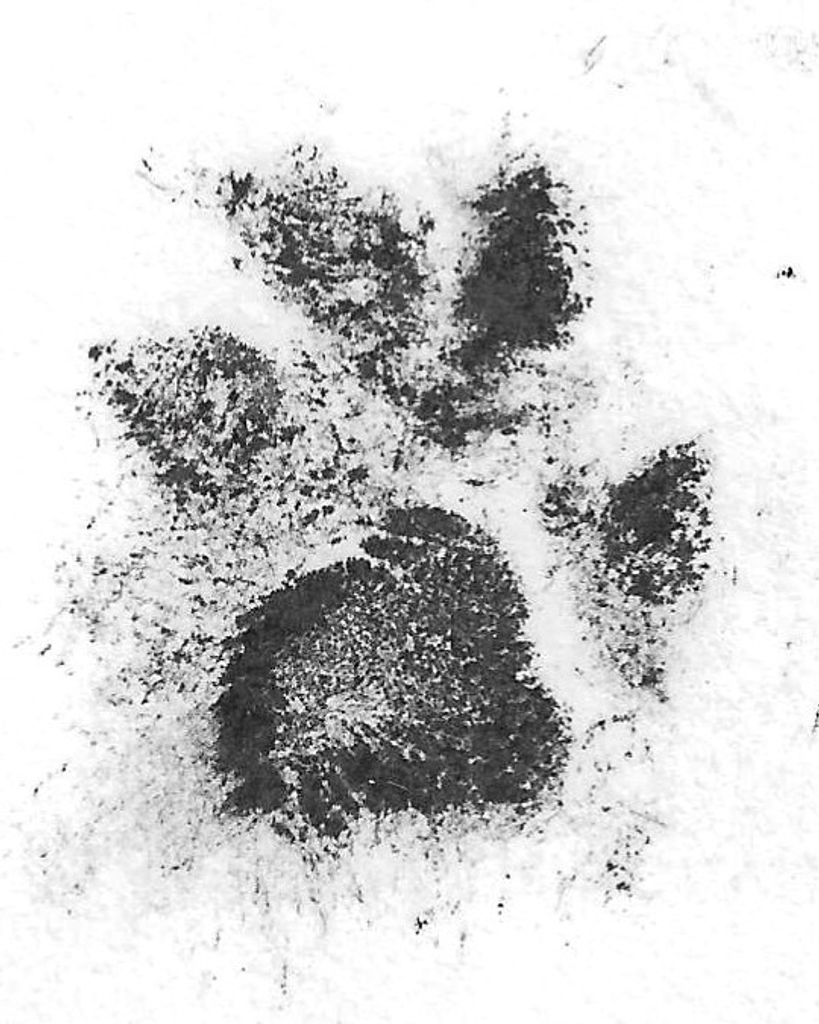 Harley Childress Profile Photo