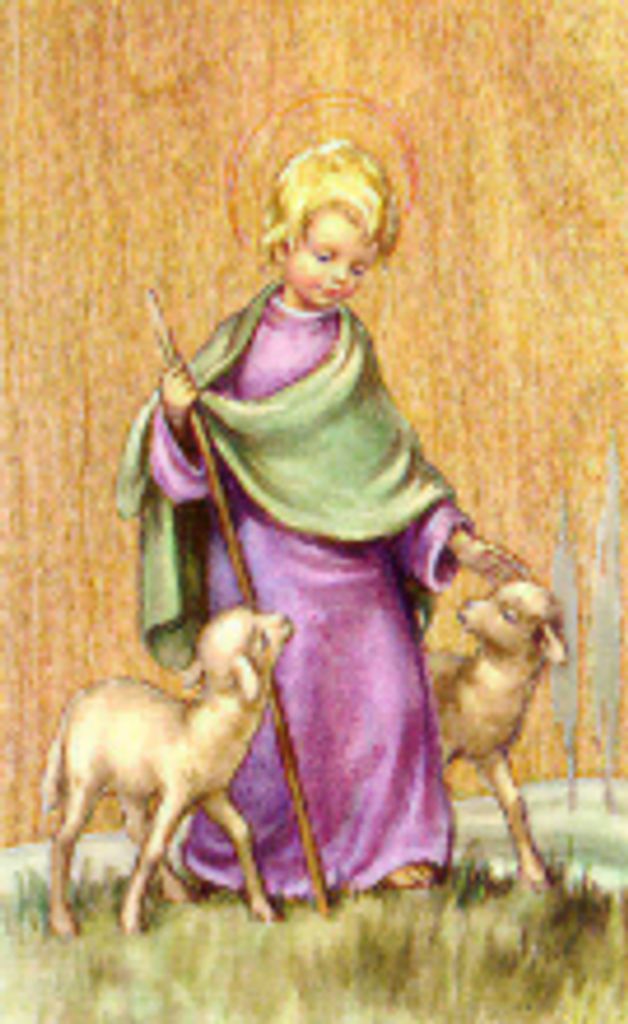 Lois  Claire Latscha