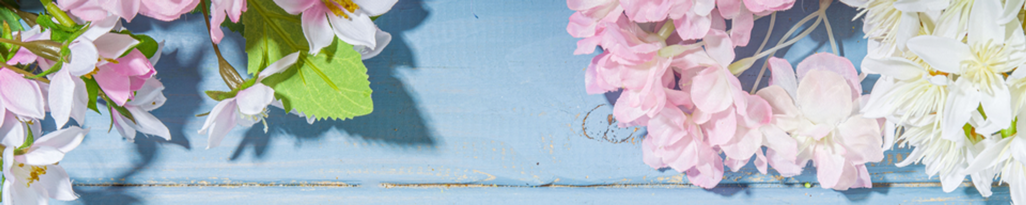 Cover for Katheryn Chidester's Obituary