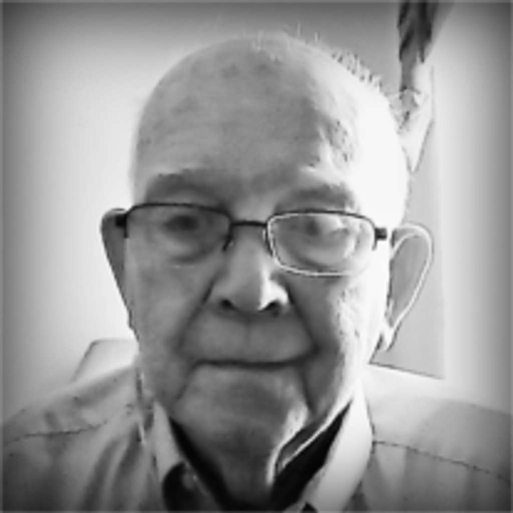 Robert L. Rayl