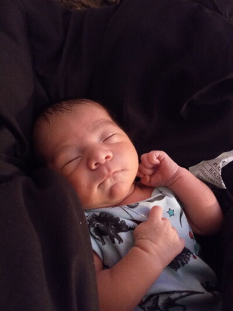 Gabriel Gambino Hernandez Profile Photo