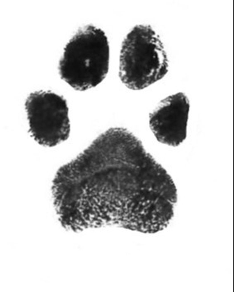 Molly Caraway Profile Photo