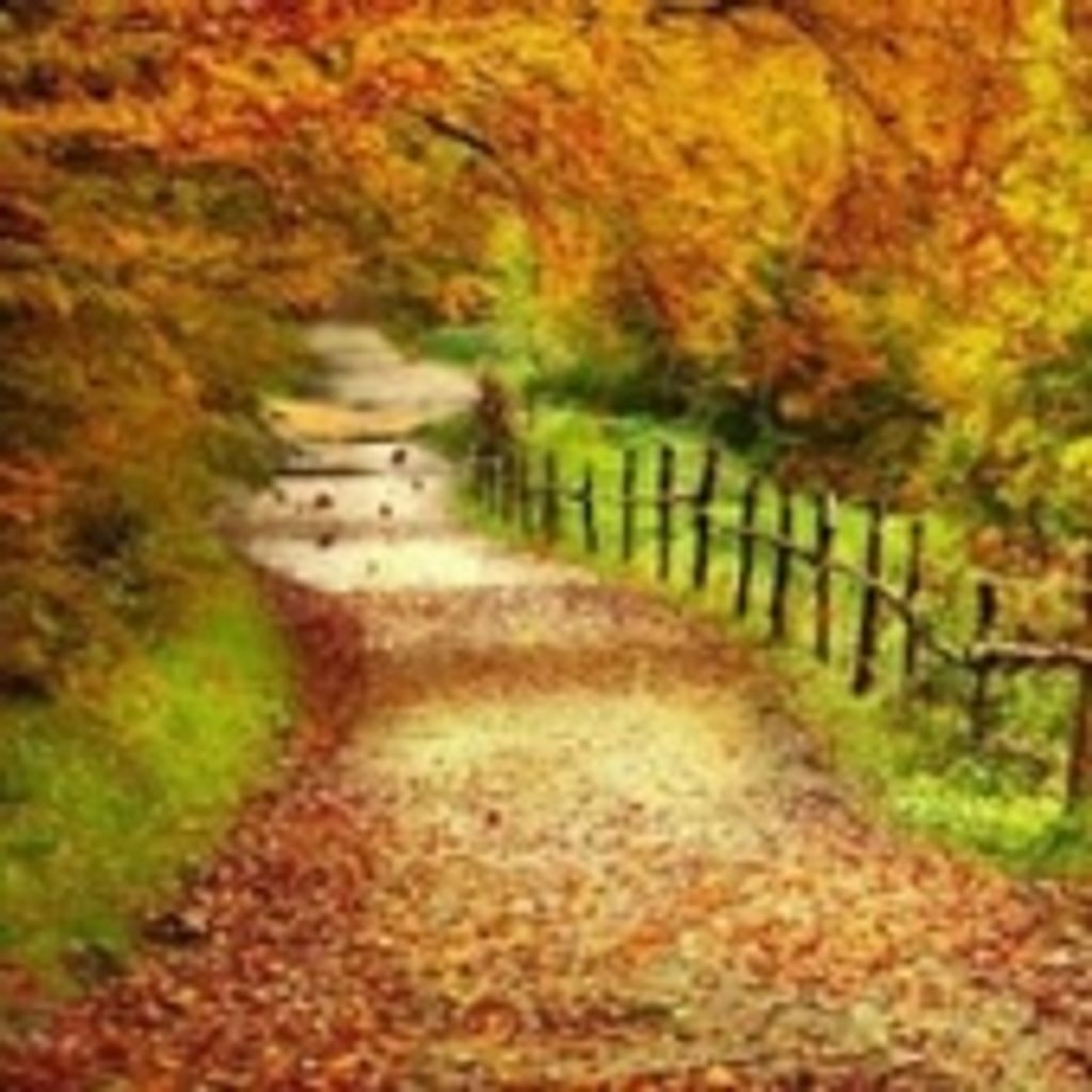 Charles Everett Williams Sr.