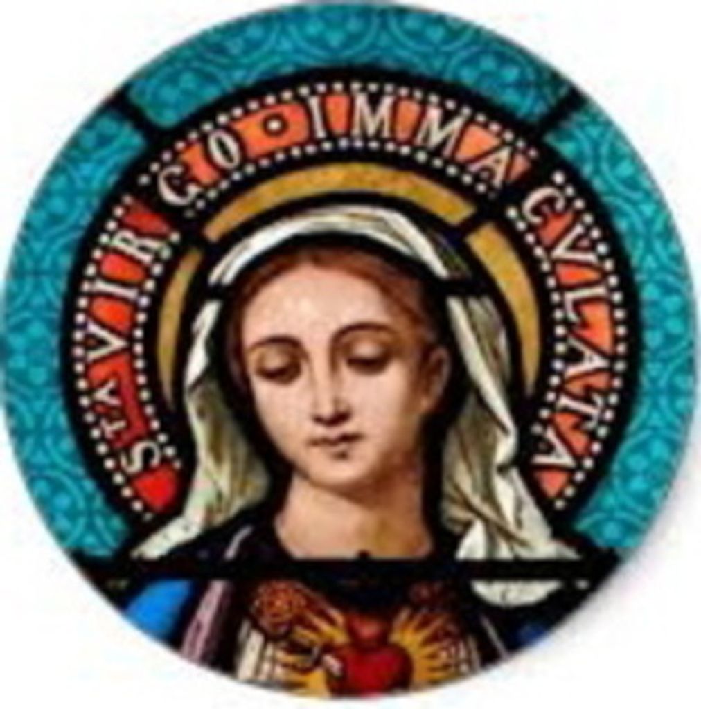 Antoinette Buonincontro