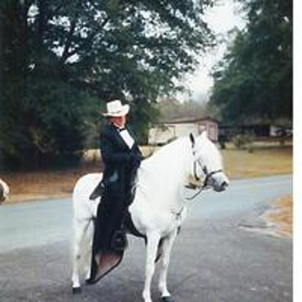 Sandye Levie Medlin Profile Photo