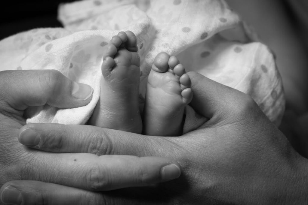 Isabella Claire Biersgreen