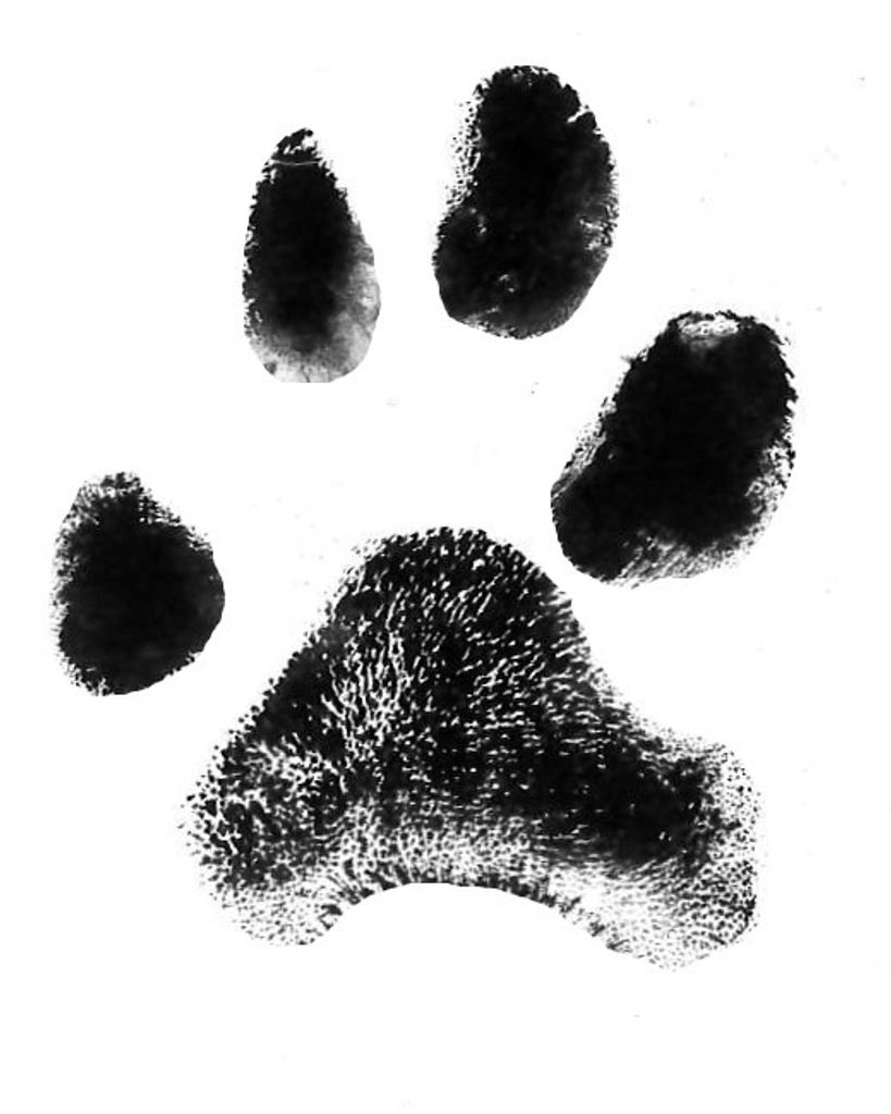 Gracie Bowman Profile Photo