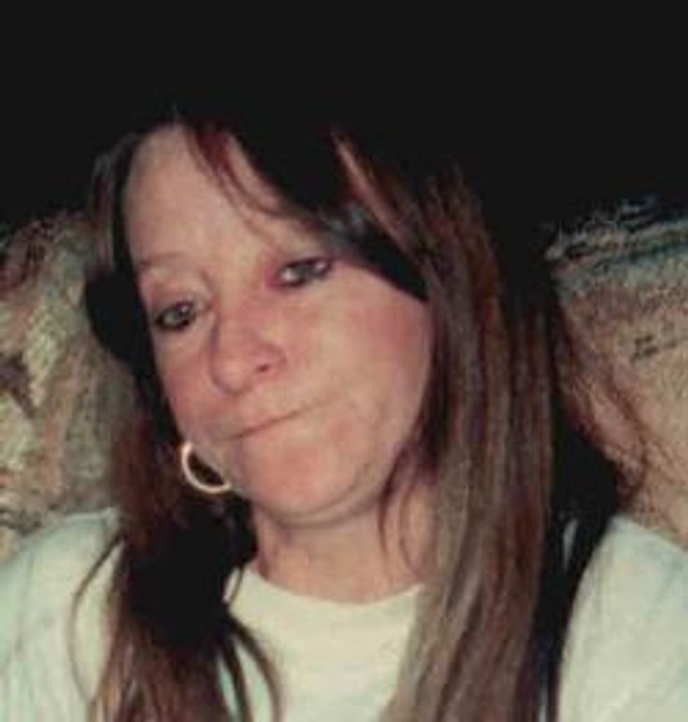 Tina Lynn Shuck Profile Photo