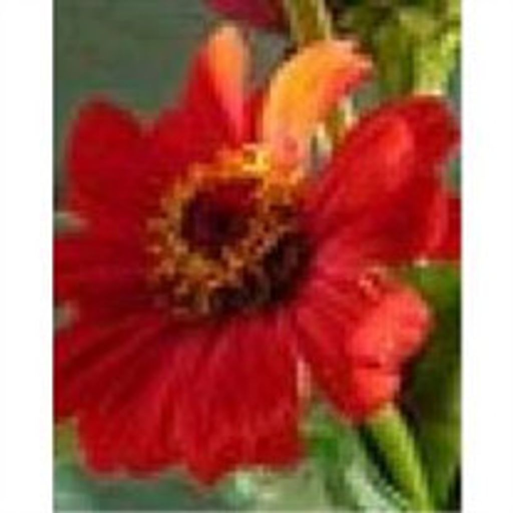 Lois Mobley Davidson