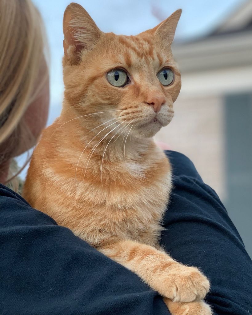 Copper Clifton Profile Photo