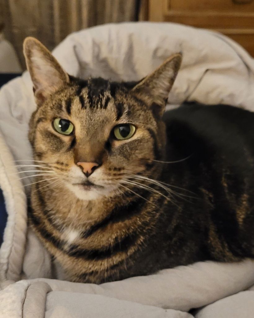 Sadie "Buns" Romig Profile Photo