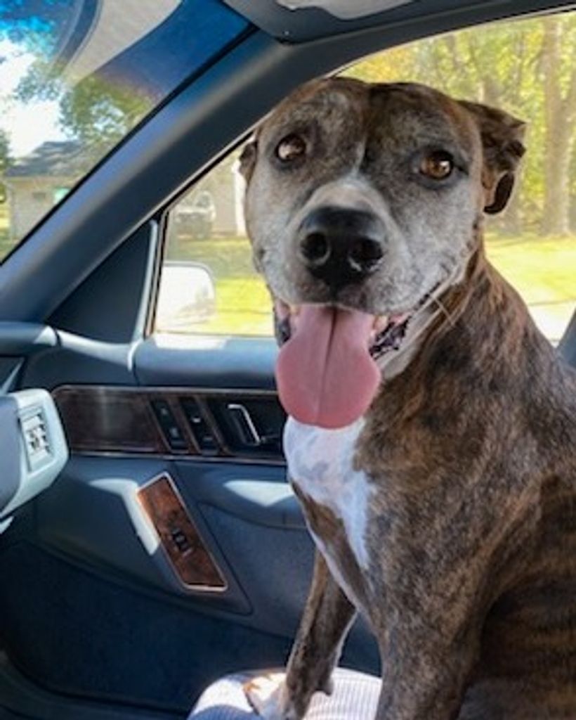 Piper Anne Raderstorf Profile Photo