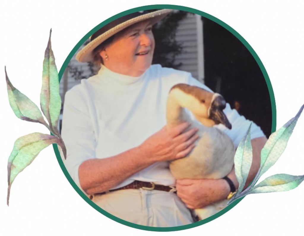 Nancy Elizabeth Shapleigh Profile Photo