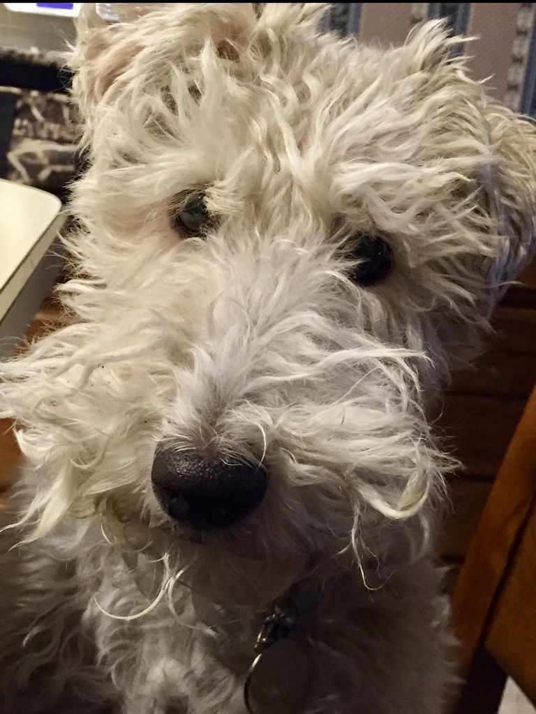 Doda Profile Photo