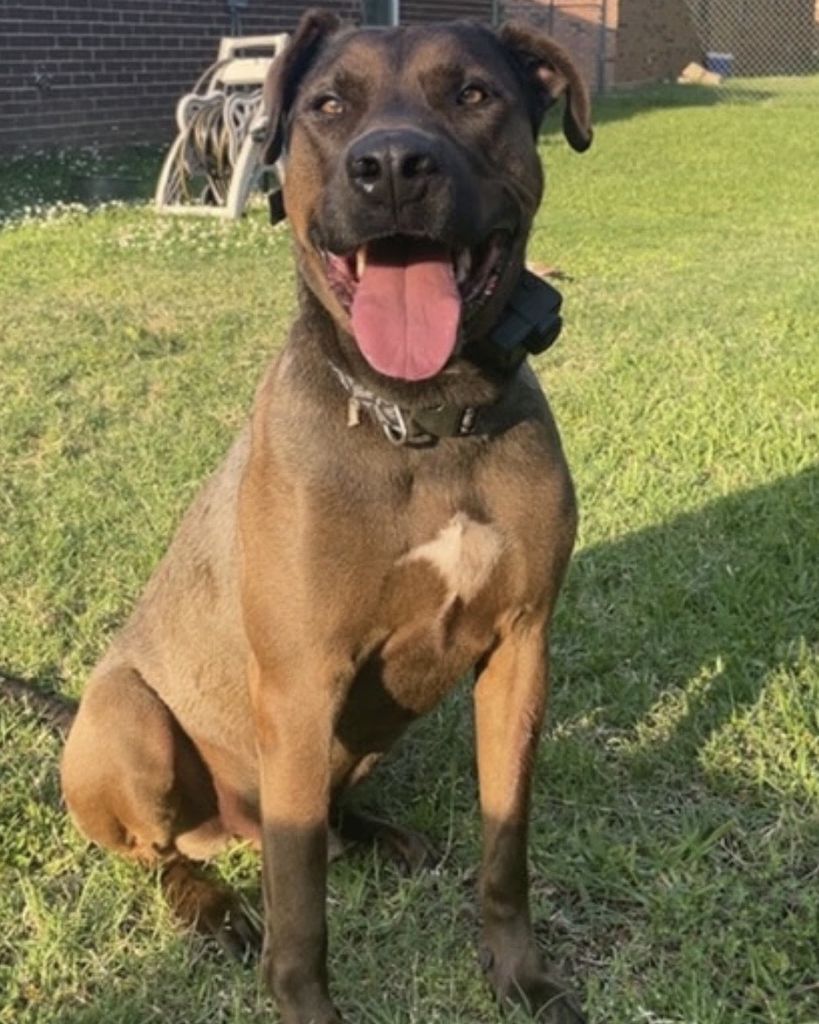 Leo Moseley Profile Photo