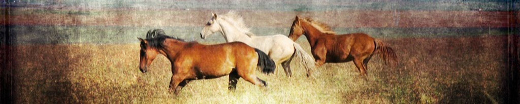 Cover for Robert "Bob" W. Kershner II's Obituary