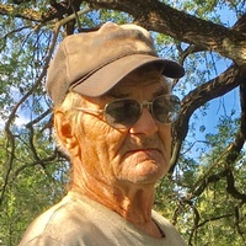 James Wolcott
