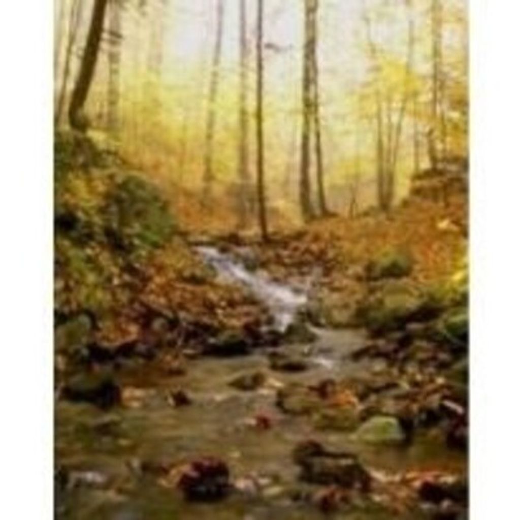 Donnie E. Buffington