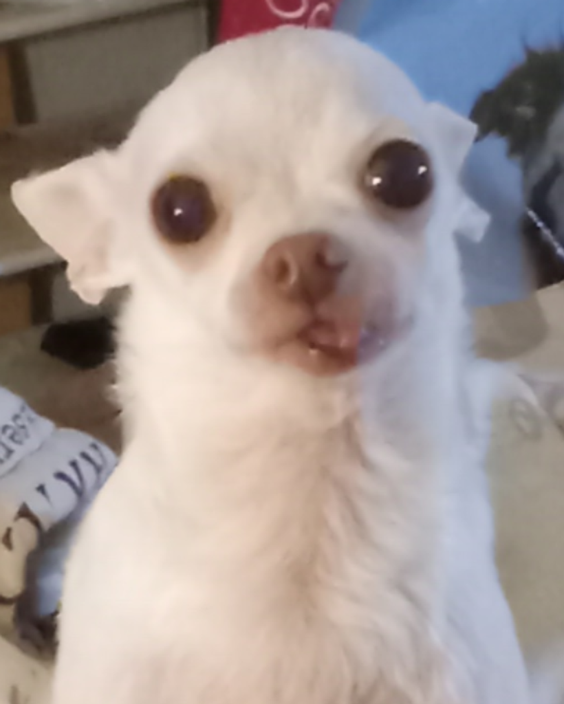 Snowie
