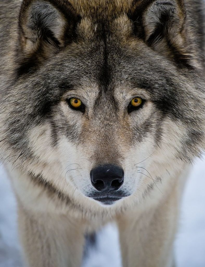 Craig Ralph Hagedon Profile Photo