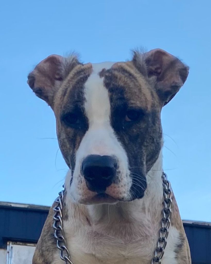 Zella Dalton Profile Photo