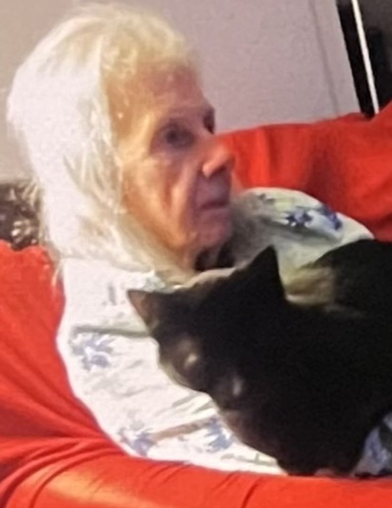 Louise  J. Panni Profile Photo