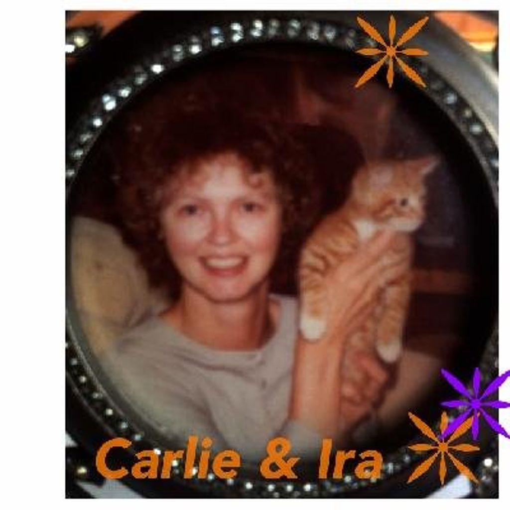 Carlie A Gibbs