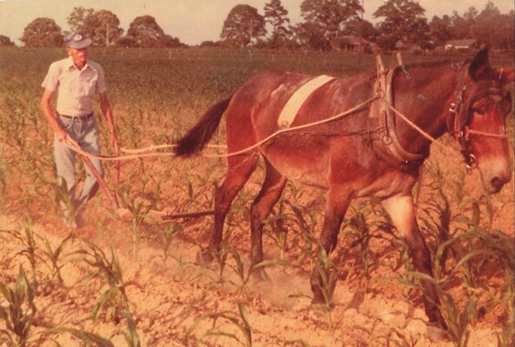 Claude Rowell Profile Photo