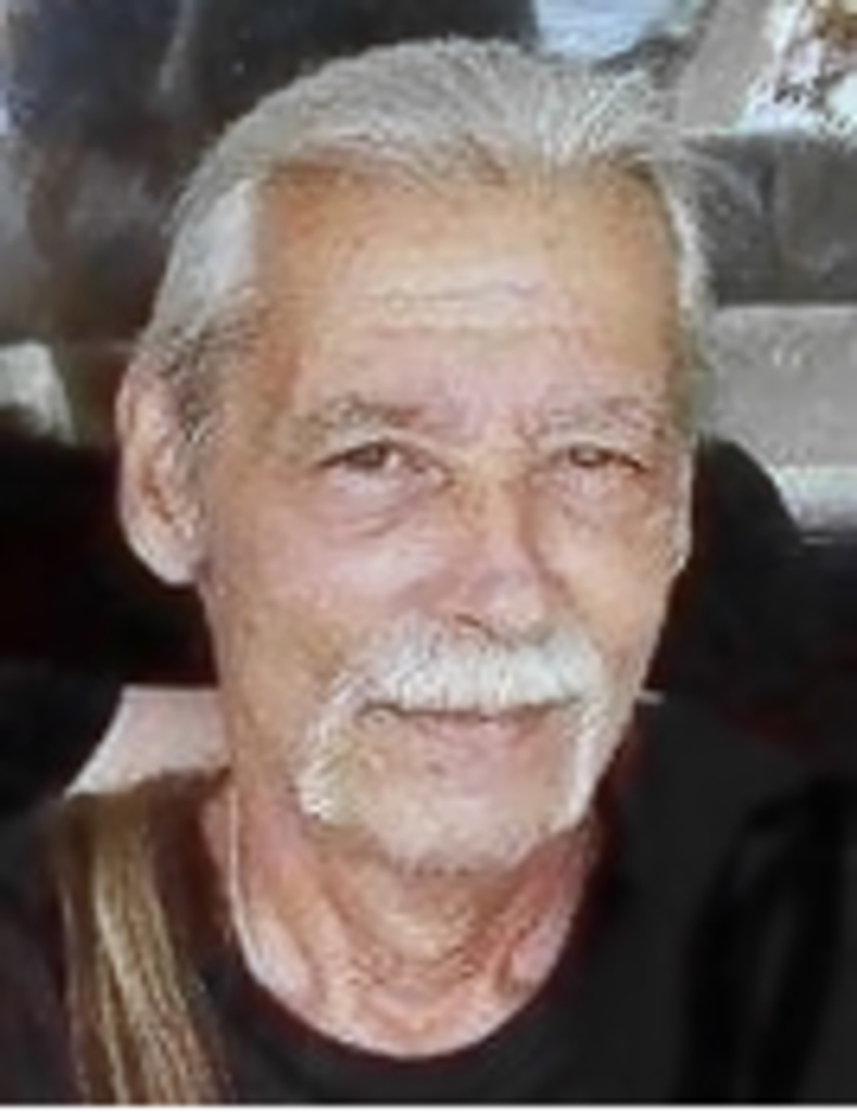 David L. Lemle Profile Photo