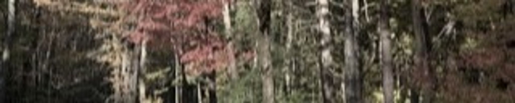 Cover for Susan Goodwillie Edwards's Obituary