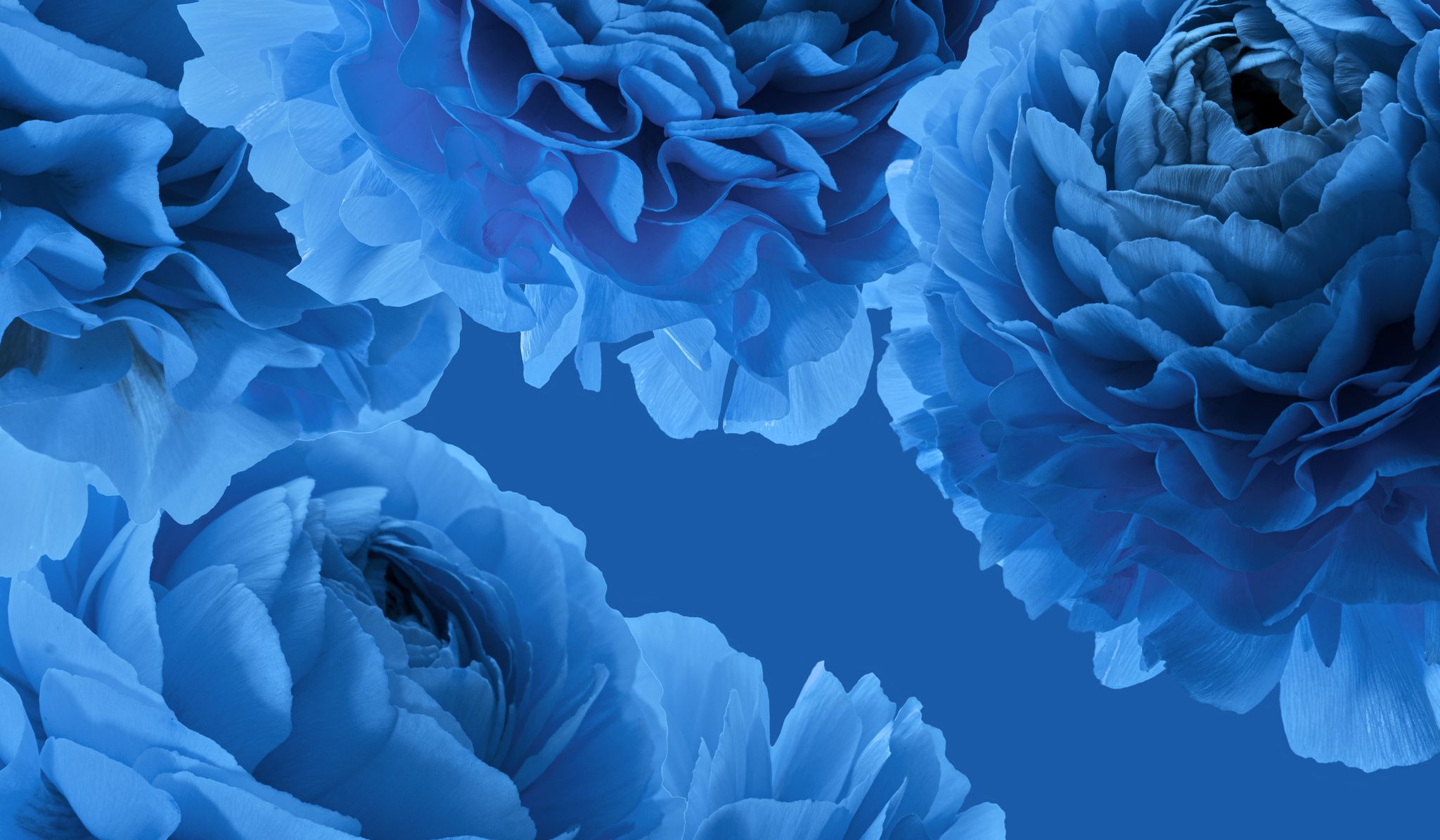 Cover for Pastor Annie Rebecca Sherman's Obituary