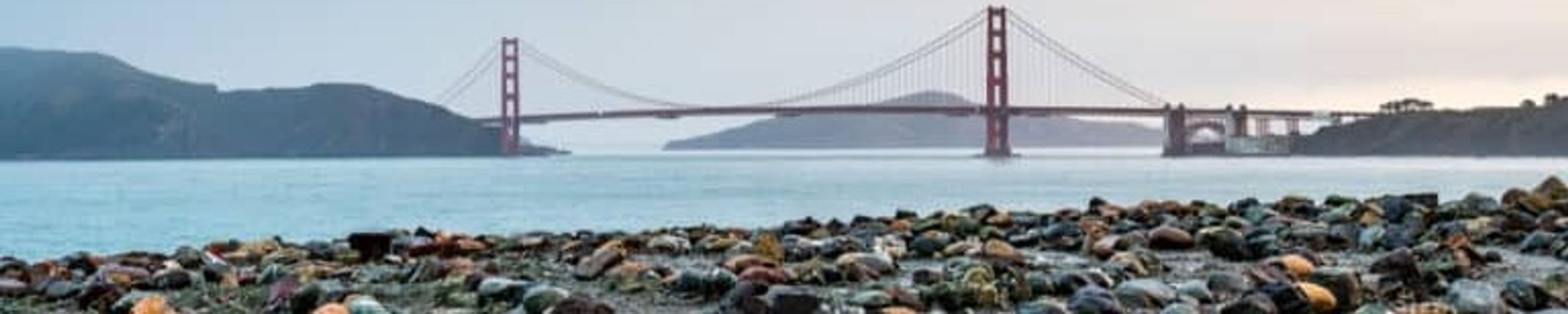 Cover for Yolanda Lynn Bear's Obituary